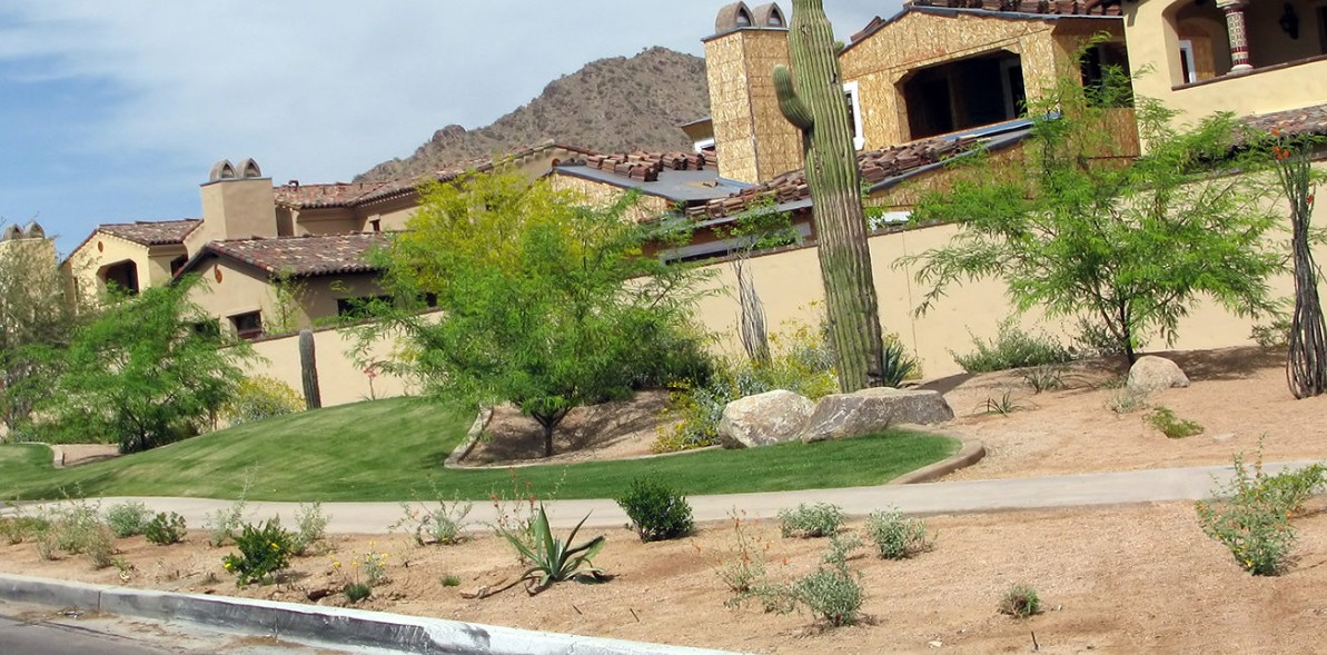 Complete Landscaping project
